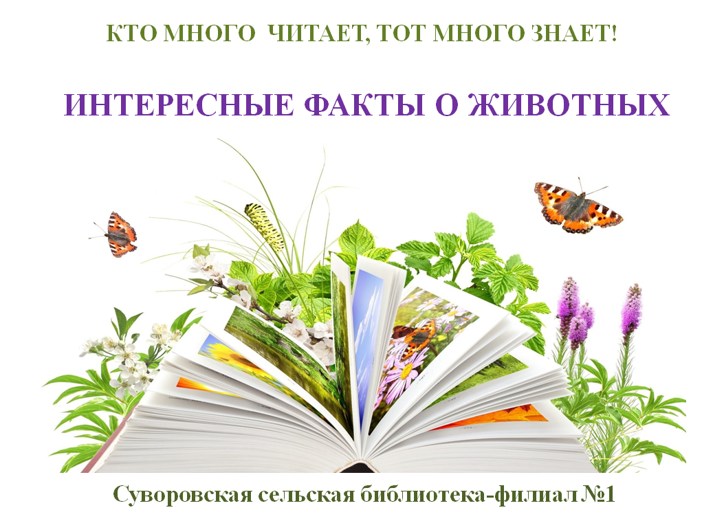 Кто много читает, тот много знает