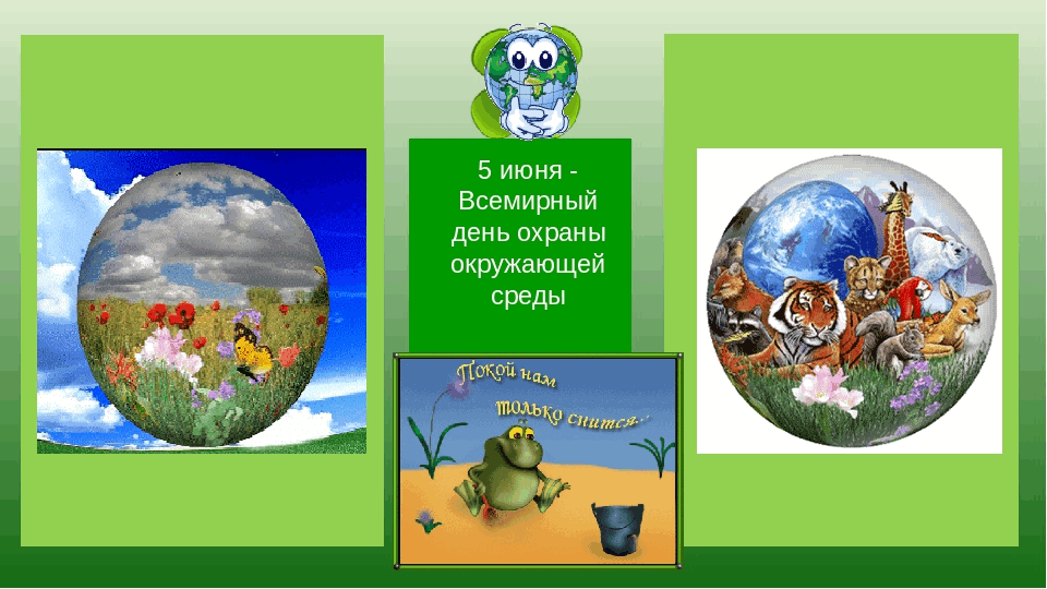 Через красоту природы – к красоте души